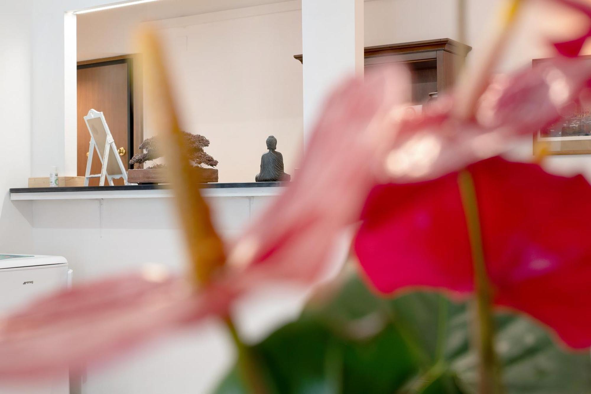 Ohana Bnb Janov Exteriér fotografie